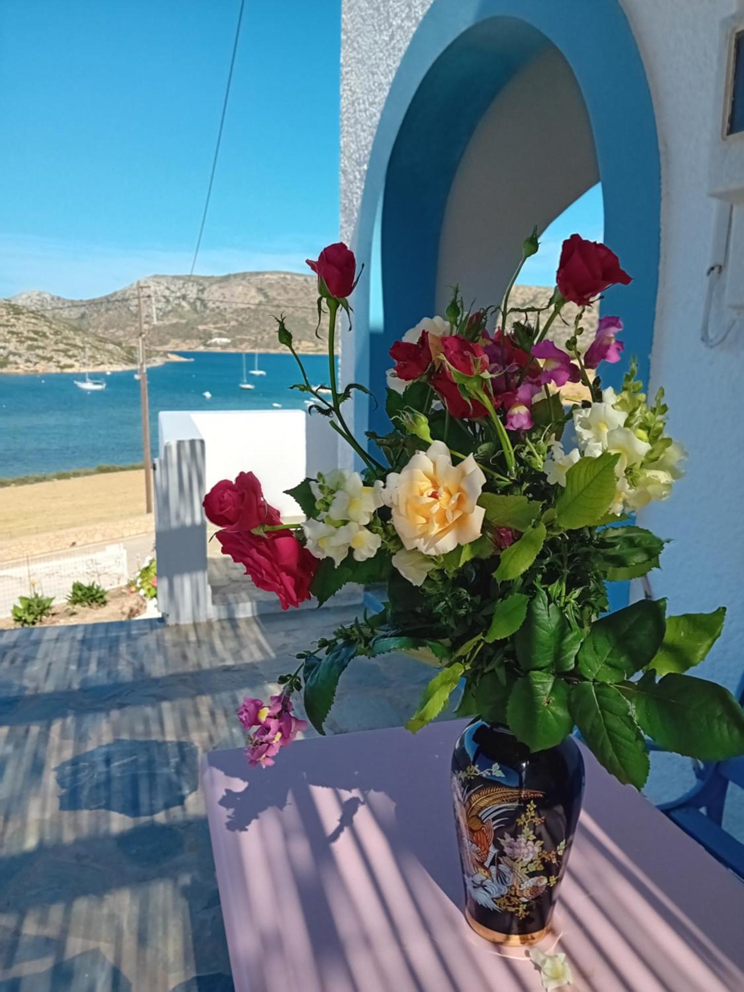 Aggeliki'S Apartments Lipsoí Zewnętrze zdjęcie